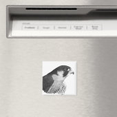 Peregrine Falcon-Pencil Magneet (Insitu (Vaatwasser))