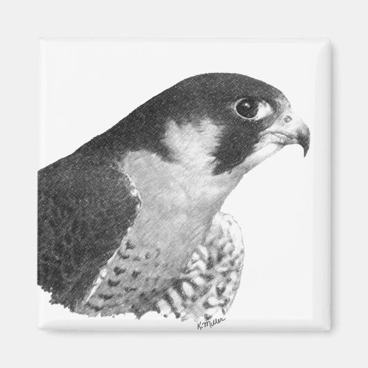 Peregrine Falcon-Pencil Magneet (Voorkant)