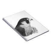Peregrine Falcon-Pencil Notitieboek (Rechterzijde)