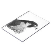 Peregrine Falcon-Pencil Notitieboek (Linkerzijde)