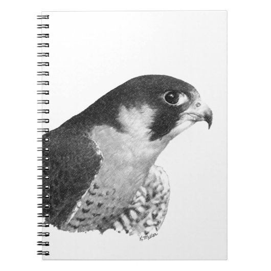 Peregrine Falcon-Pencil Notitieboek (Voorkant)