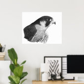 Peregrine Falcon-Pencil Poster (Thuiskantoor)