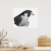 Peregrine Falcon-Pencil Poster (Keuken)