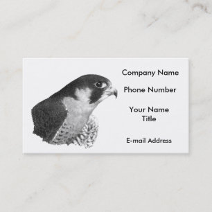 Peregrine Falcon-Pencil Visitekaartje