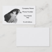 Peregrine Falcon-Pencil Visitekaartje (Voorkant / Achterkant)