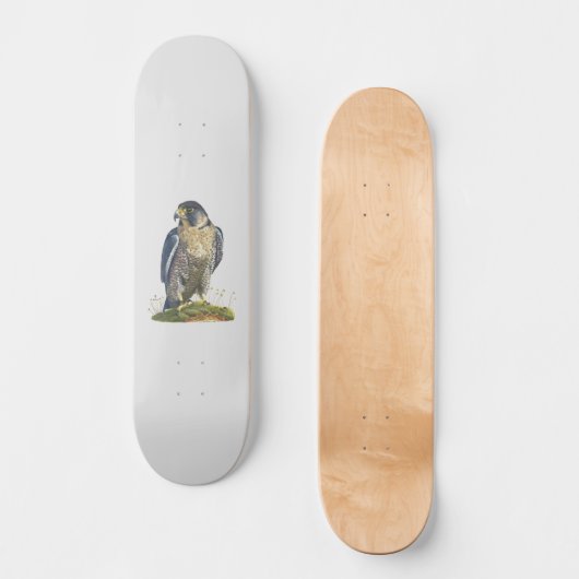 Peregrine Falcon Persoonlijk Skateboard (Voorkant)