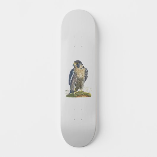 Peregrine Falcon Persoonlijk Skateboard (Voorkant)