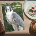 Peregrine Falcon Photo Funny Birthday Kaart<br><div class="desc">Humoureuze verjaardagskaart voor iedereen met het foto-afbeelding van een Peregrine Falcon die op zoek is naar voedsel. Kijk maar eens naar die taart. Selecteer uit steen of glanzende stijlkaart.</div>