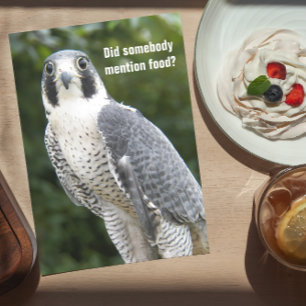 Peregrine Falcon Photo Funny Birthday Kaart