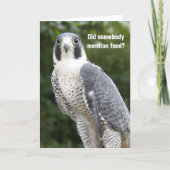 Peregrine Falcon Photo Funny Birthday Kaart (Voorkant)