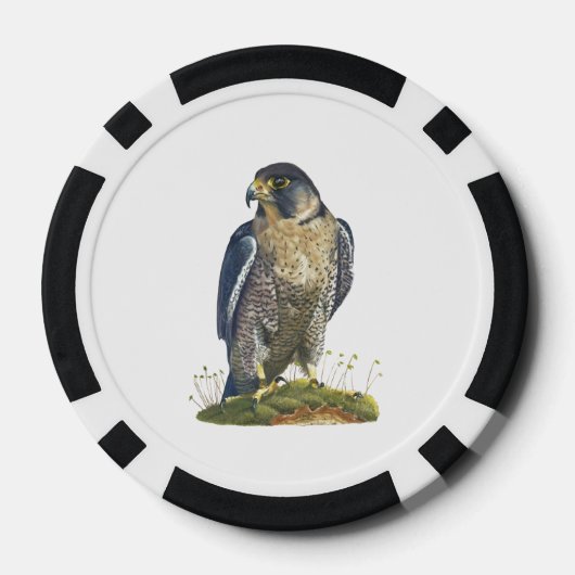 Peregrine Falcon Poker Chips (Achterkant)