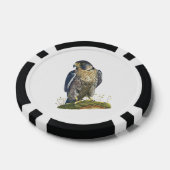 Peregrine Falcon Poker Chips (Enkel)