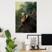 Peregrine Falcon Poster (Thuiskantoor)