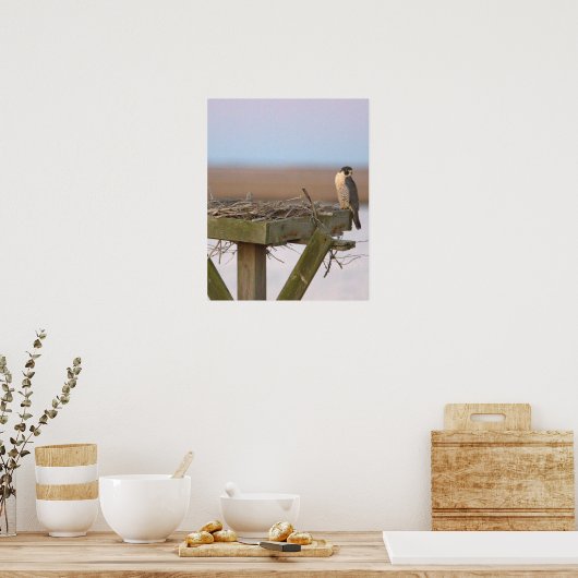 Peregrine Falcon Poster (Keuken)
