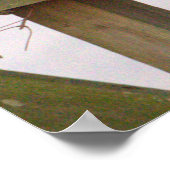 Peregrine Falcon Poster (Hoek)