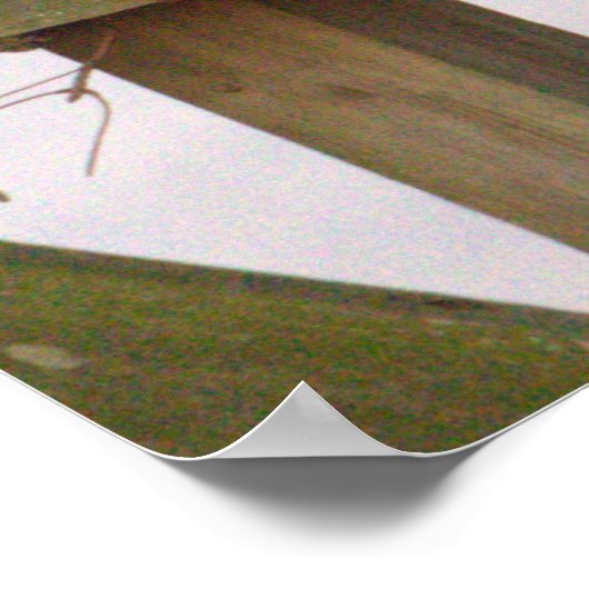 Peregrine Falcon Poster (Hoek)