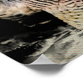 Peregrine Falcon Poster (Hoek)