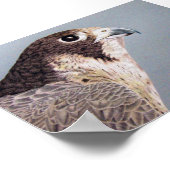Peregrine Falcon Poster (Hoek)