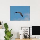 Peregrine Falcon Poster (Thuiskantoor)