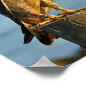 Peregrine Falcon Print (Hoek)