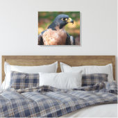 Peregrine Falcon Profile Canvas Afdruk (Insitu (Slaapkamer))