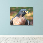 Peregrine Falcon Profile Canvas Afdruk (Insitu (Houten vloer))