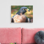 Peregrine Falcon Profile Canvas Afdruk (Insitu (Woonkamer))