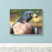 Peregrine Falcon Profile Canvas Afdruk (Insitu (Houten vloer))