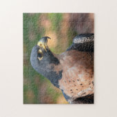 Peregrine Falcon Profile Legpuzzel (Verticaal)