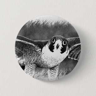 Peregrine Falcon Ronde Button 5,7 Cm