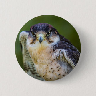 Peregrine Falcon Ronde Button 5,7 Cm