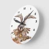 Peregrine Falcon Ronde Klok (Hoek)