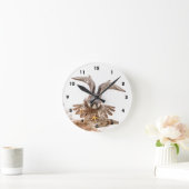 Peregrine Falcon Ronde Klok (Huis)