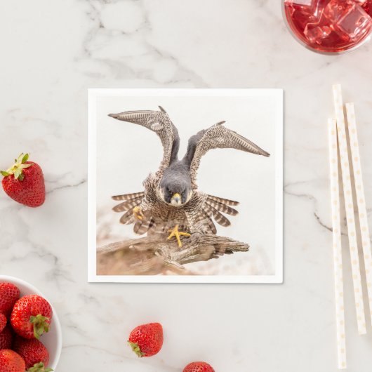 Peregrine Falcon Servetten (Insitu)