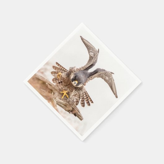 Peregrine Falcon Servetten (Hoek)