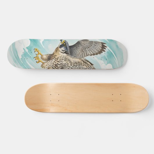 Peregrine falcon  Skateboard (Horizontaal)