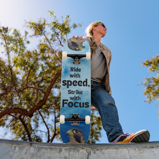 Peregrine falcon  Skateboard (Buiten 1)