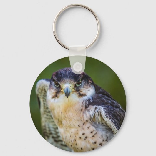 Peregrine Falcon Sleutelhanger (Voorkant)