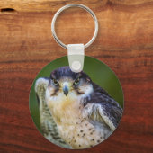 Peregrine Falcon Sleutelhanger (Voorkant)