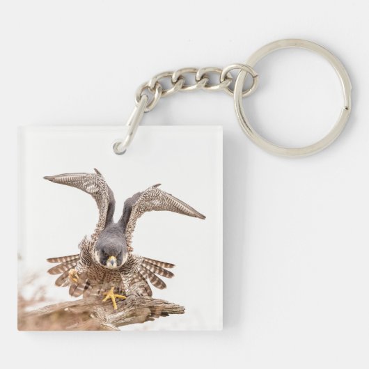 Peregrine Falcon Sleutelhanger (Achterkant)