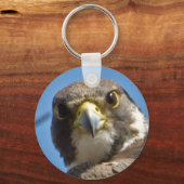Peregrine Falcon Sleutelhanger (Voorkant)