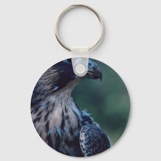 Peregrine Falcon Sleutelhanger (Voorkant)