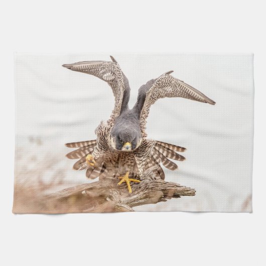 Peregrine Falcon Theedoek (Horizontaal)