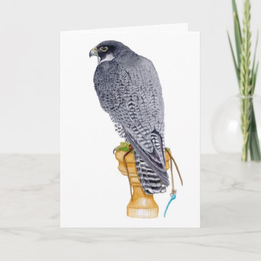 Peregrine Falcon Verjaardag Kaart (Voorkant)