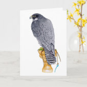 Peregrine Falcon Verjaardag Kaart (Gele Bloem)