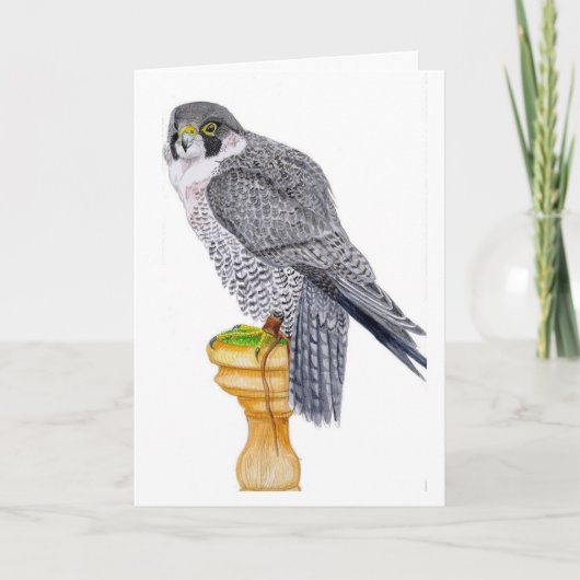 Peregrine Falcon Verjaardag Kaart (Voorkant)
