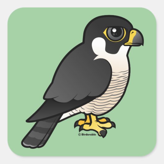 Peregrine Falcon Vierkante Sticker (Voorkant)