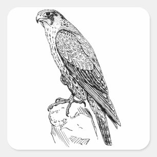 Peregrine Falcon Vierkante Sticker