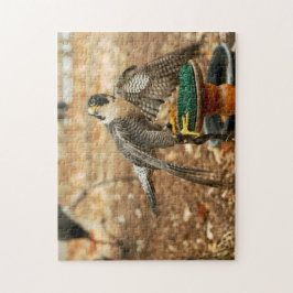 peregrine falcon, vogel van prooipuzzel legpuzzel