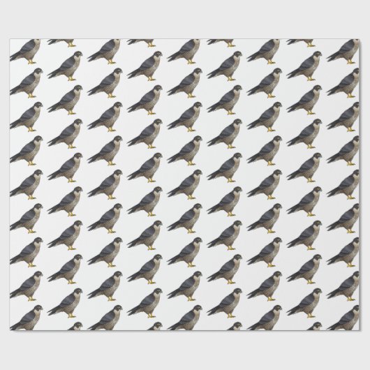 Peregrine falcon-vogelschilderij cartoon cadeaupapier (Vlak)